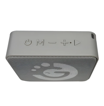 PARLANTE GOLDTECH MINI WEZEN